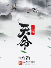 正统天命笔趣阁