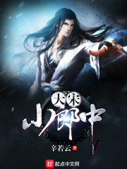 大宋小郎中免费阅读