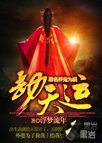 劫天运小说