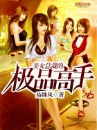 美女总裁的极品高手txt