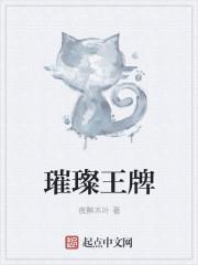璀璨王牌123