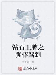 钻石王牌之强棒驾到 飞熊骑士