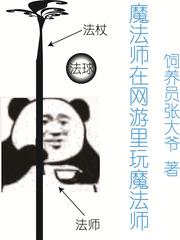 魔法师在网游里玩魔法师叫什么