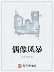 偶像风暴小说全文免费阅读