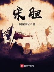 宋胆红素20.7