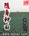 随身种田下载