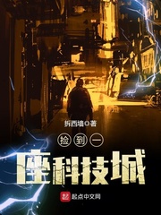 捡到一座科技城小说