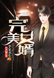 完美女婿百度网盘