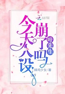 叶先生又凶又甜小说