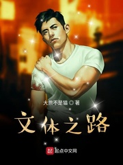 文体之路小说在线阅读