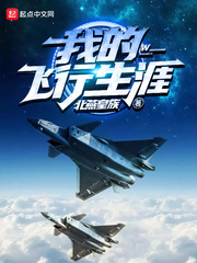 我的飞行生涯元元
