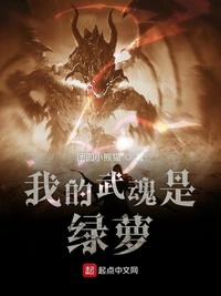 我的武魂是小说