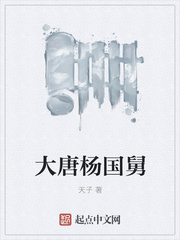 大唐杨国舅txt