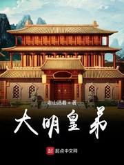 大明皇弟 小说