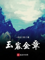 玉宸金章小说TXT下载