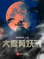 大夏是啥意思