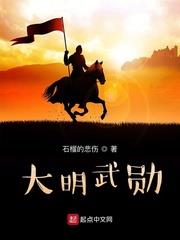 大明武勋小说