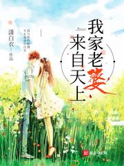 我家老婆来自天上 潇白衣