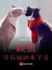 联盟开局辅助水子哥TXT下载