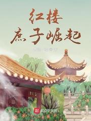 红楼:庶子崛起笔趣阁