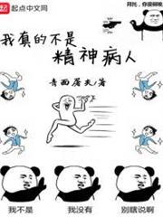 我真的不是精神病人TXT百度网盘下载