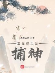 混在综武当捕神的小说