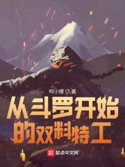 从斗罗开始的双料特工 小说