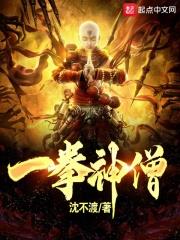 一拳圣僧小说
