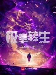 极拳转生TXT下载奇书