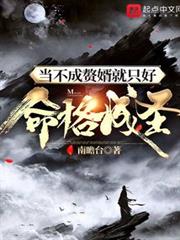 当不成赘婿就只好命格成圣女主