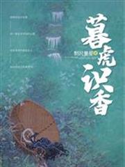 暮虎小说