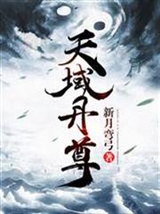天域丹尊免费阅读小说