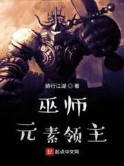 巫师:元素领主TXT
