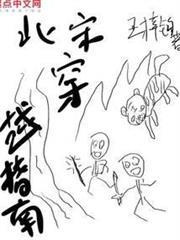 北宋穿越指南TXT下载