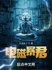 电磁暴君八零TXT下载