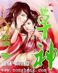 草神配队阵容
