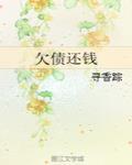 欠债还钱怎么骂人不带脏字呢