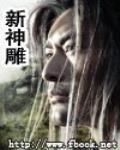 新神雕侠侣在线观看免费高清完整版电视剧
