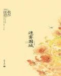 迷雾围城小说