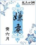 嫌妻良母意思
