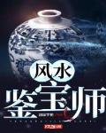 风水鉴宝师 小说