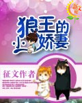 狼王的小娇妻 欣悦然百度云盘