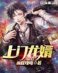 上门龙婿叶辰免费全文