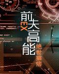 前夫高能百度云txt全文加番外