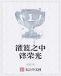 灌篮之中锋荣光TXT下载