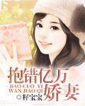 抱错豪门千金的小说