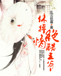 休掉花心王爷:王妃出墙记
