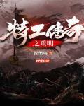 特工传奇之重明免费听书