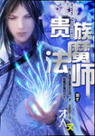 贵族魔法师 小说