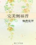 完美福晋txt